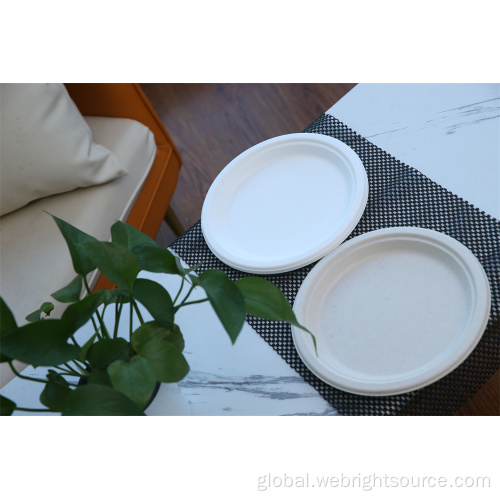 Biodegradable Trays Disposable Party Paper Plate 7 inch Factory